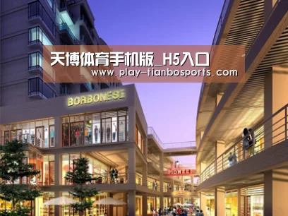 案例展示一(图1)