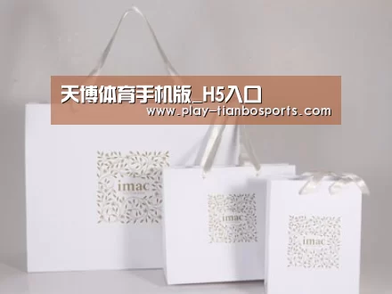 项目名称十一
