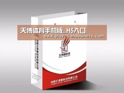 项目名称十三
