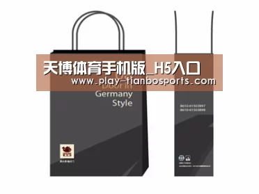 项目名称十四