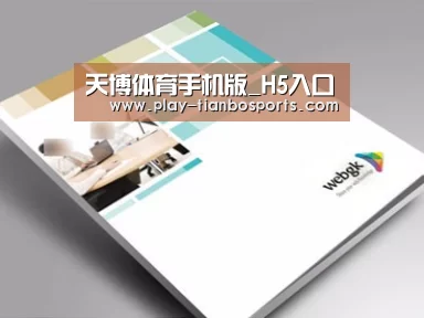 项目名称九