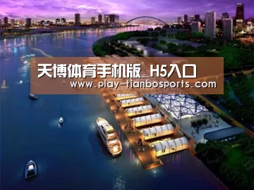 案例展示八