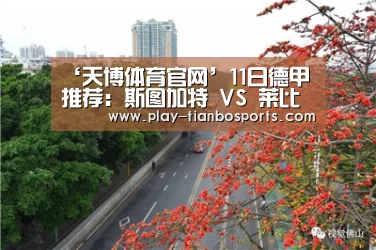 ‘天博体育官网’11日德甲推荐:斯图加特 VS 莱比锡红牛(图1) 天博体育手机版