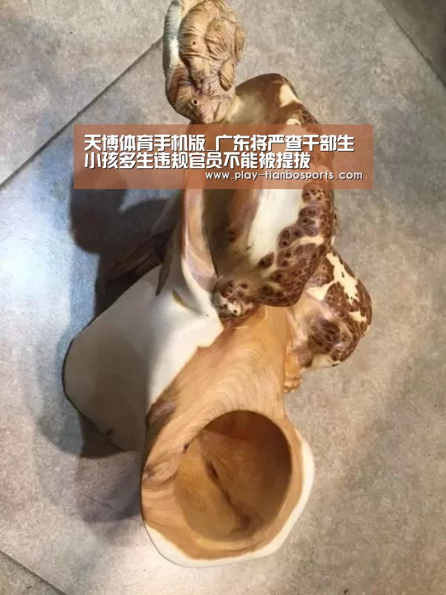 天博体育手机版_广东将严查干部生小孩多生违规官员不能被提拔(图3) 天博体育下载