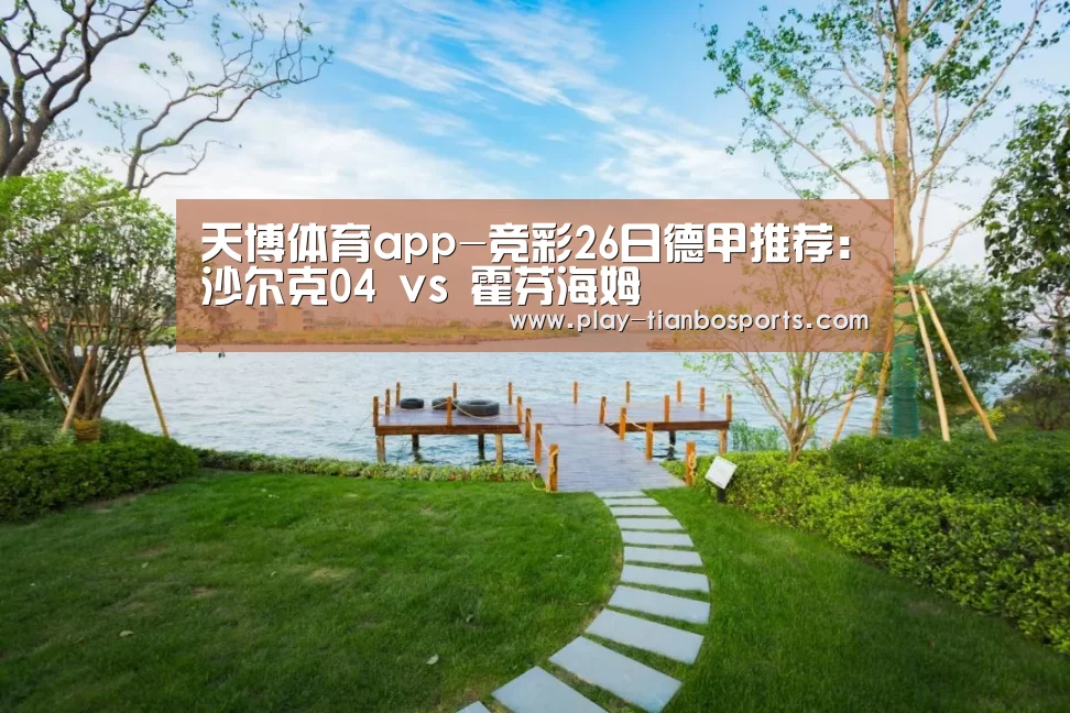 天博体育app-竞彩26日德甲推荐:沙尔克04 vs 霍芬海姆(图2) 天博体育手机版