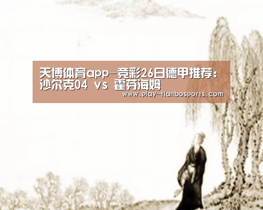 天博体育app-竞彩26日德甲推荐:沙尔克04 vs 霍芬海姆(图1) 天博体育官网