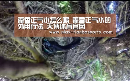 天博体育官网