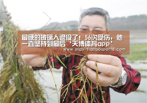 天博体育手机版