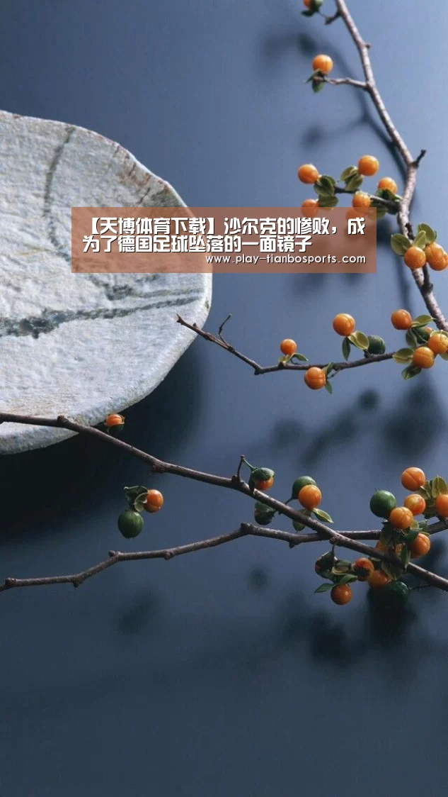 天博体育手机版