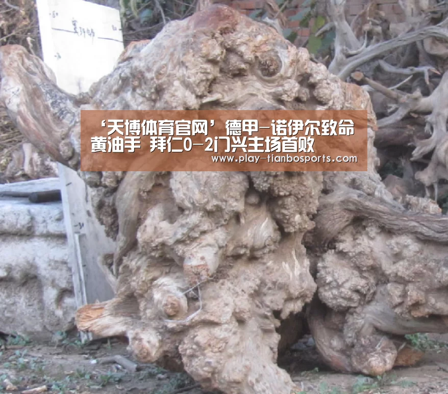 天博体育手机版